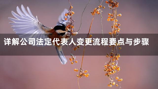 详解公司法定代表人变更流程要点与步骤