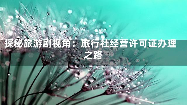 探秘旅游剧视角：旅行社经营许可证办理之路
