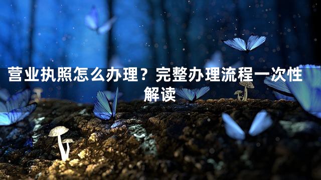 营业执照怎么办理？完整办理流程一次性解读