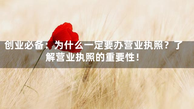 创业必备：为什么一定要办营业执照？了解营业执照的重要性！