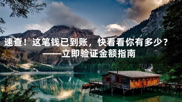 速查！这笔钱已到账，快看看你有多少？——立即验证金额指南