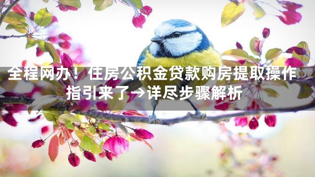 全程网办！住房公积金贷款购房提取操作指引来了→详尽步骤解析