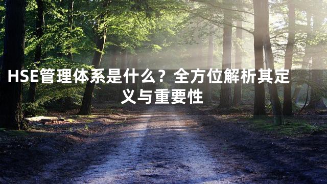 HSE管理体系是什么？全方位解析其定义与重要性