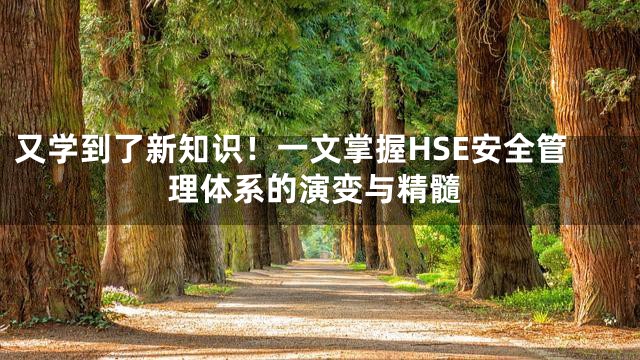 又学到了新知识！一文掌握HSE安全管理体系的演变与精髓