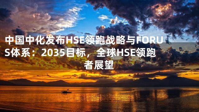 中国中化发布HSE领跑战略与FORUS体系：2035目标，全球HSE领跑者展望