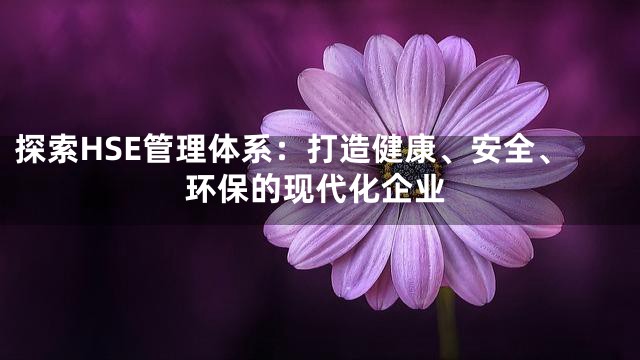 探索HSE管理体系：打造健康、安全、环保的现代化企业