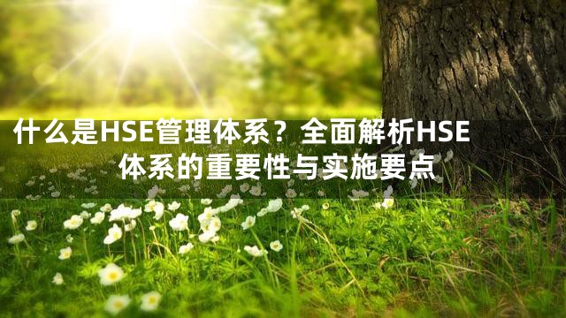 什么是HSE管理体系？全面解析HSE体系的重要性与实施要点