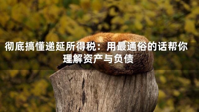 彻底搞懂递延所得税：用最通俗的话帮你理解资产与负债