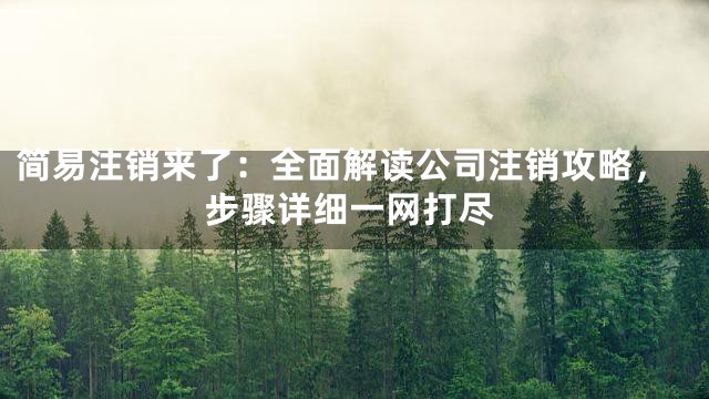 简易注销来了：全面解读公司注销攻略，步骤详细一网打尽