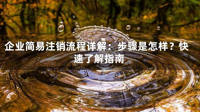 企业简易注销流程详解：步骤是怎样？快速了解指南