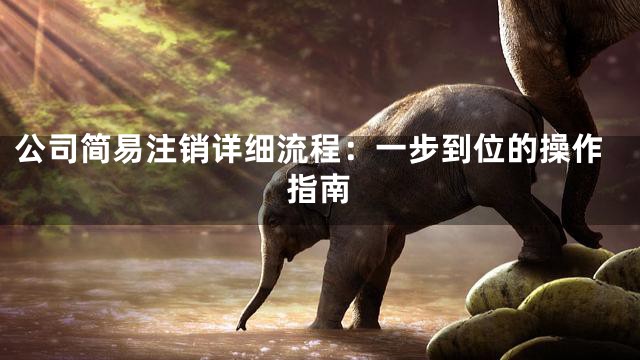 公司简易注销详细流程：一步到位的操作指南