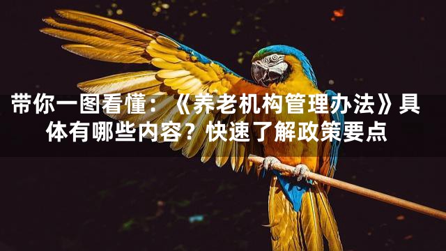 带你一图看懂：《养老机构管理办法》具体有哪些内容？快速了解政策要点