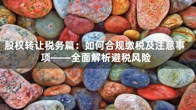 股权转让税务篇：如何合规缴税及注意事项——全面解析避税风险