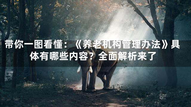 带你一图看懂：《养老机构管理办法》具体有哪些内容？全面解析来了