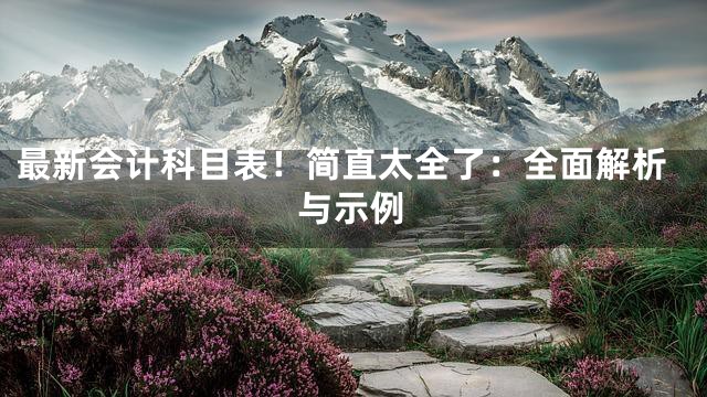 最新会计科目表！简直太全了：全面解析与示例
