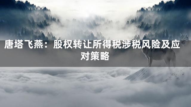 唐塔飞燕：股权转让所得税涉税风险及应对策略