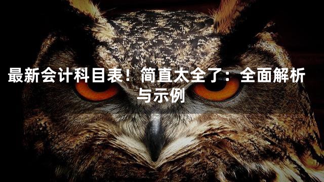 最新会计科目表！简直太全了：全面解析与示例