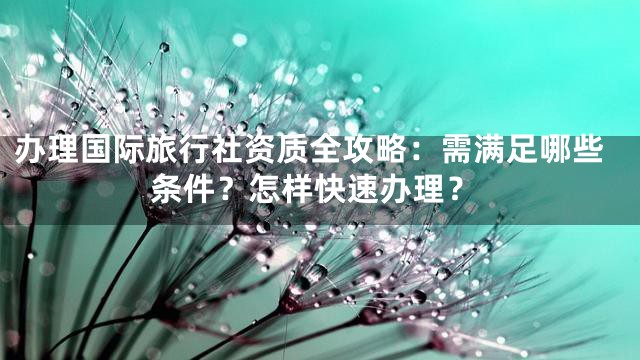 办理国际旅行社资质全攻略：需满足哪些条件？怎样快速办理？