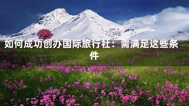 如何成功创办国际旅行社：需满足这些条件