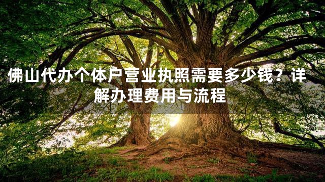 佛山代办个体户营业执照需要多少钱？详解办理费用与流程