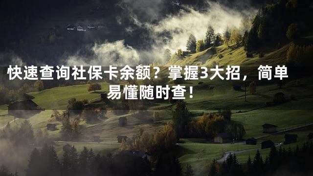 快速查询社保卡余额？掌握3大招，简单易懂随时查！