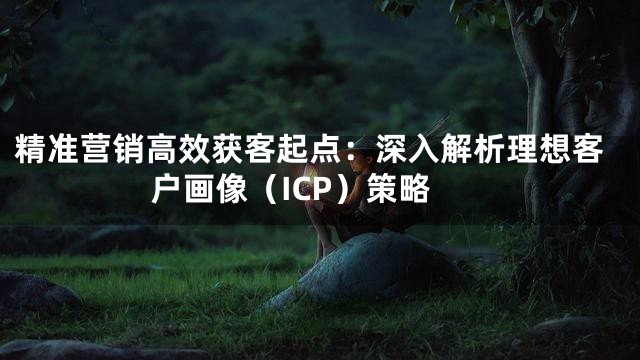 精准营销高效获客起点：深入解析理想客户画像（ICP）策略