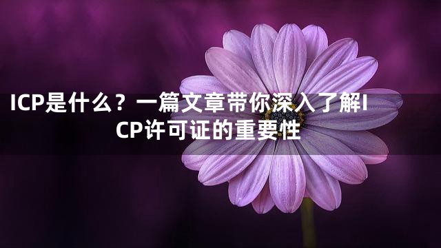 ICP是什么？一篇文章带你深入了解ICP许可证的重要性