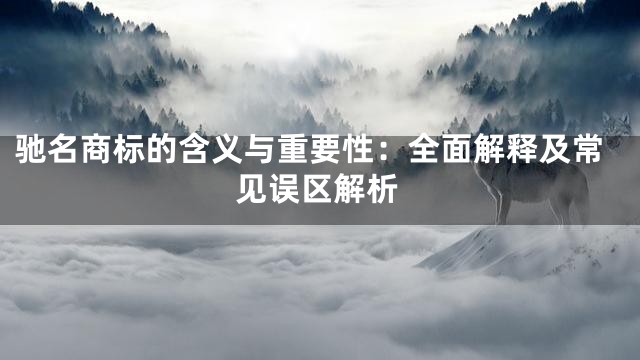 驰名商标的含义与重要性：全面解释及常见误区解析