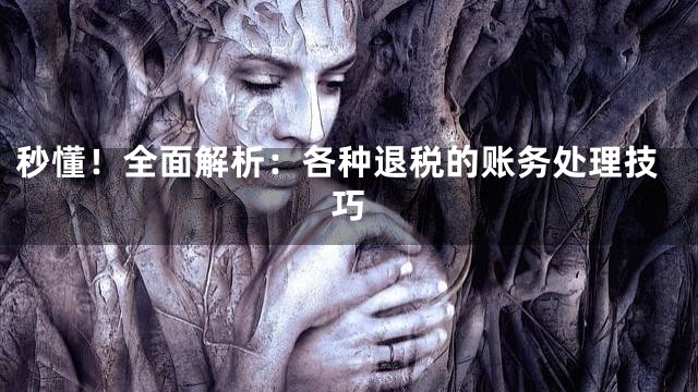 秒懂！全面解析：各种退税的账务处理技巧