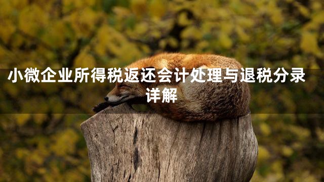 小微企业所得税返还会计处理与退税分录详解