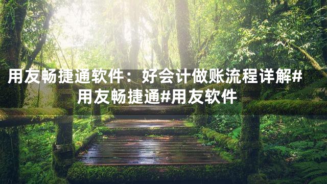 用友畅捷通软件：好会计做账流程详解#用友畅捷通#用友软件