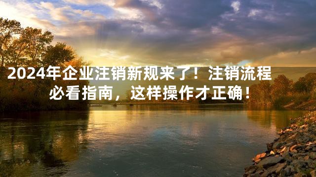 2024年企业注销新规来了！注销流程必看指南，这样操作才正确！