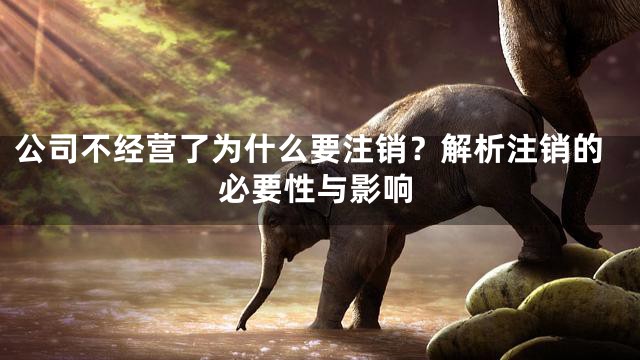 公司不经营了为什么要注销？解析注销的必要性与影响