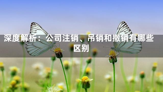 深度解析：公司注销、吊销和撤销有哪些区别