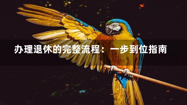 办理退休的完整流程：一步到位指南