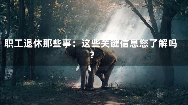 职工退休那些事：这些关键信息您了解吗？