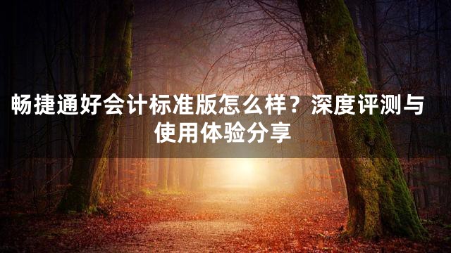 畅捷通好会计标准版怎么样？深度评测与使用体验分享