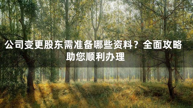 公司变更股东需准备哪些资料？全面攻略助您顺利办理