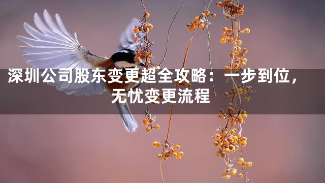 深圳公司股东变更超全攻略：一步到位，无忧变更流程