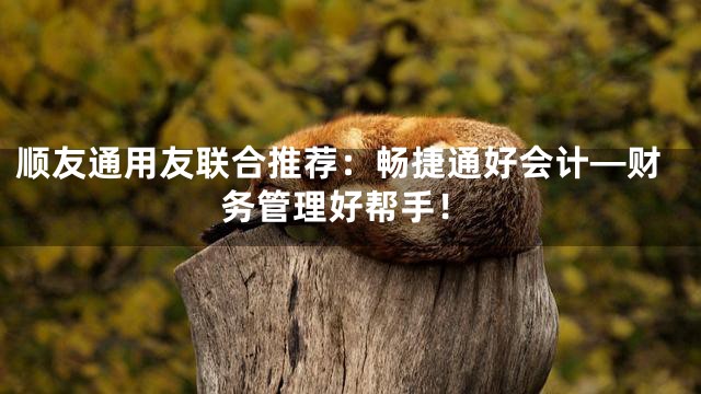 顺友通用友联合推荐：畅捷通好会计—财务管理好帮手！