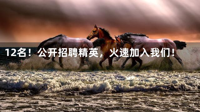 12名！公开招聘精英，火速加入我们！