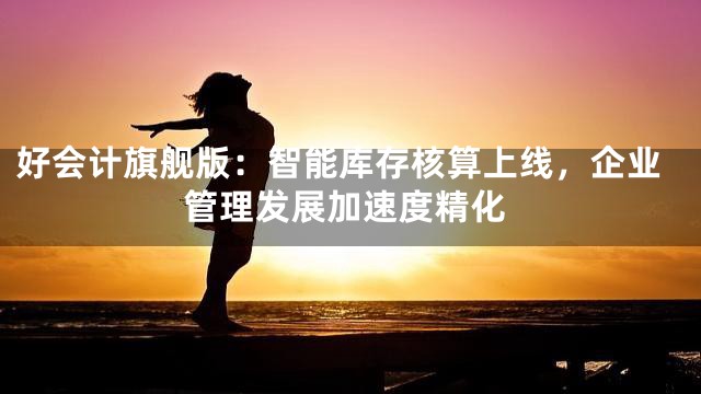 好会计旗舰版：智能库存核算上线，企业管理发展加速度精化