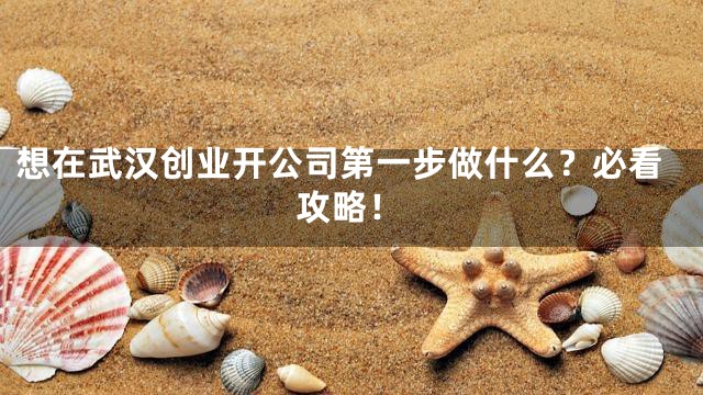 想在武汉创业开公司第一步做什么？必看攻略！