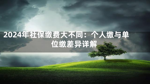 2024年社保缴费大不同：个人缴与单位缴差异详解