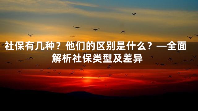 社保有几种？他们的区别是什么？—全面解析社保类型及差异
