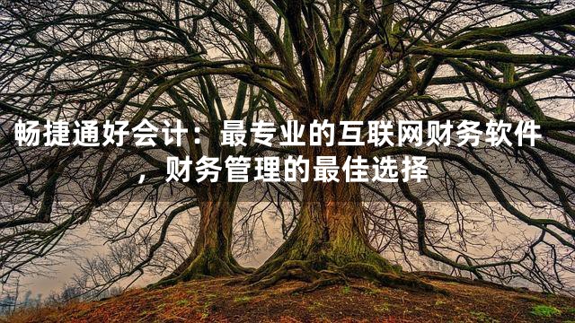 畅捷通好会计：最专业的互联网财务软件，财务管理的最佳选择