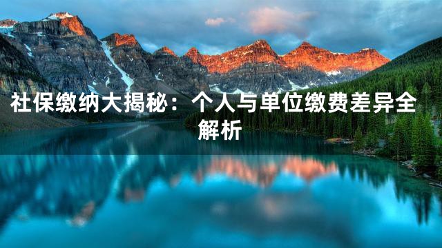 社保缴纳大揭秘：个人与单位缴费差异全解析