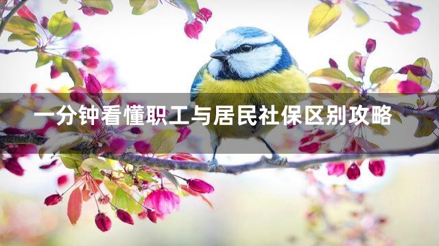一分钟看懂职工与居民社保区别攻略