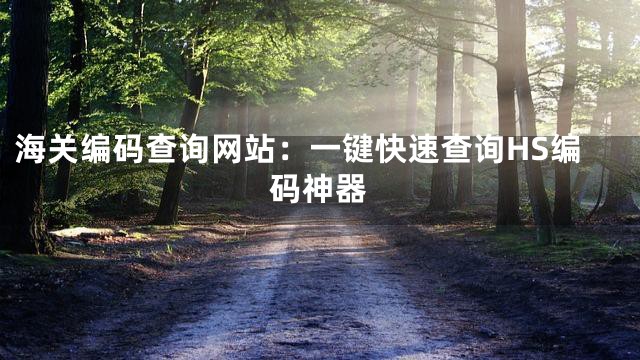 海关编码查询网站：一键快速查询HS编码神器