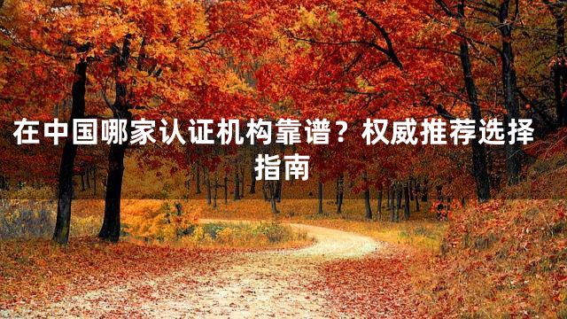 在中国哪家认证机构靠谱？权威推荐选择指南